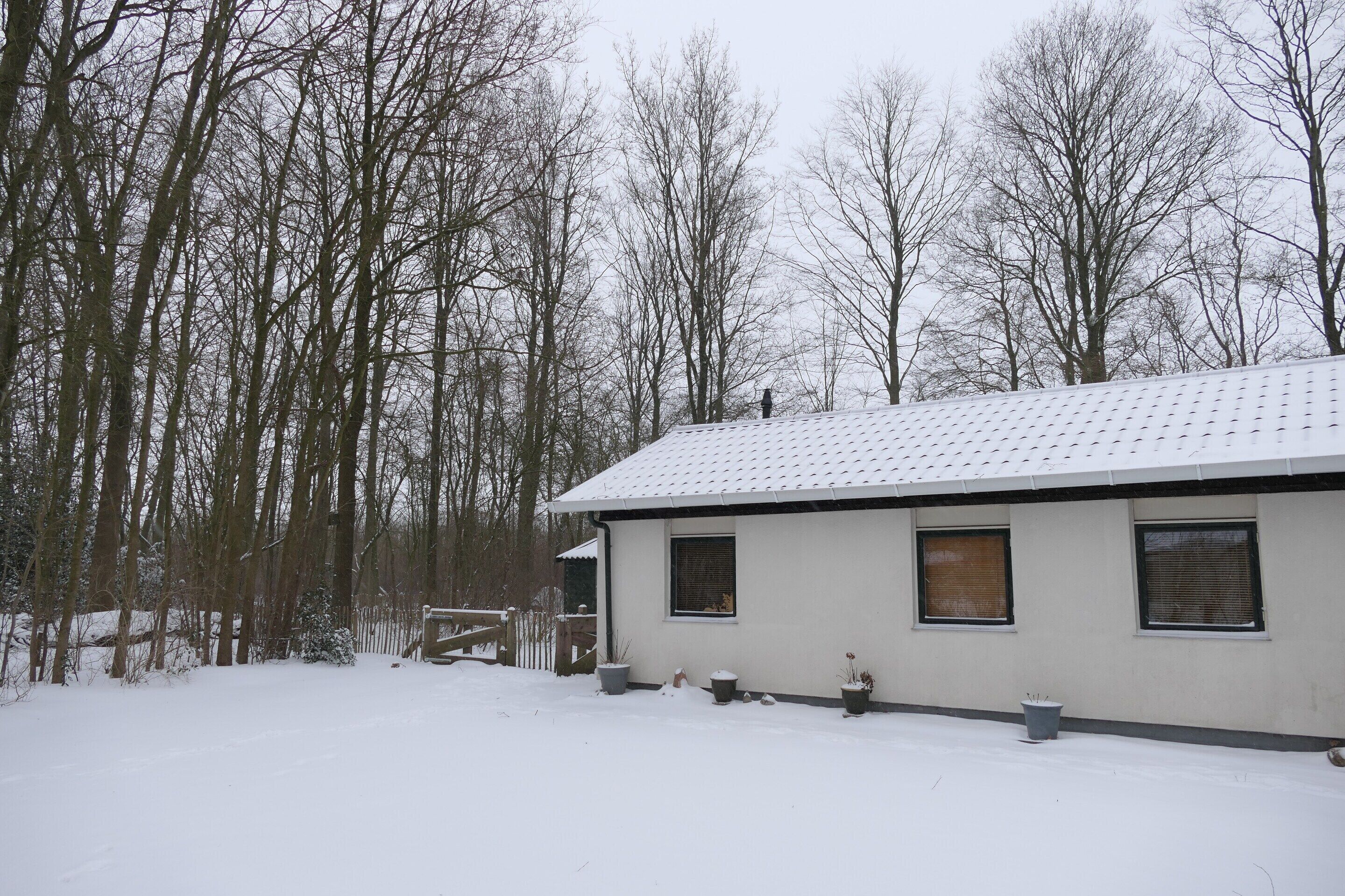 Ferienhaus | Blick von der Unterkunft