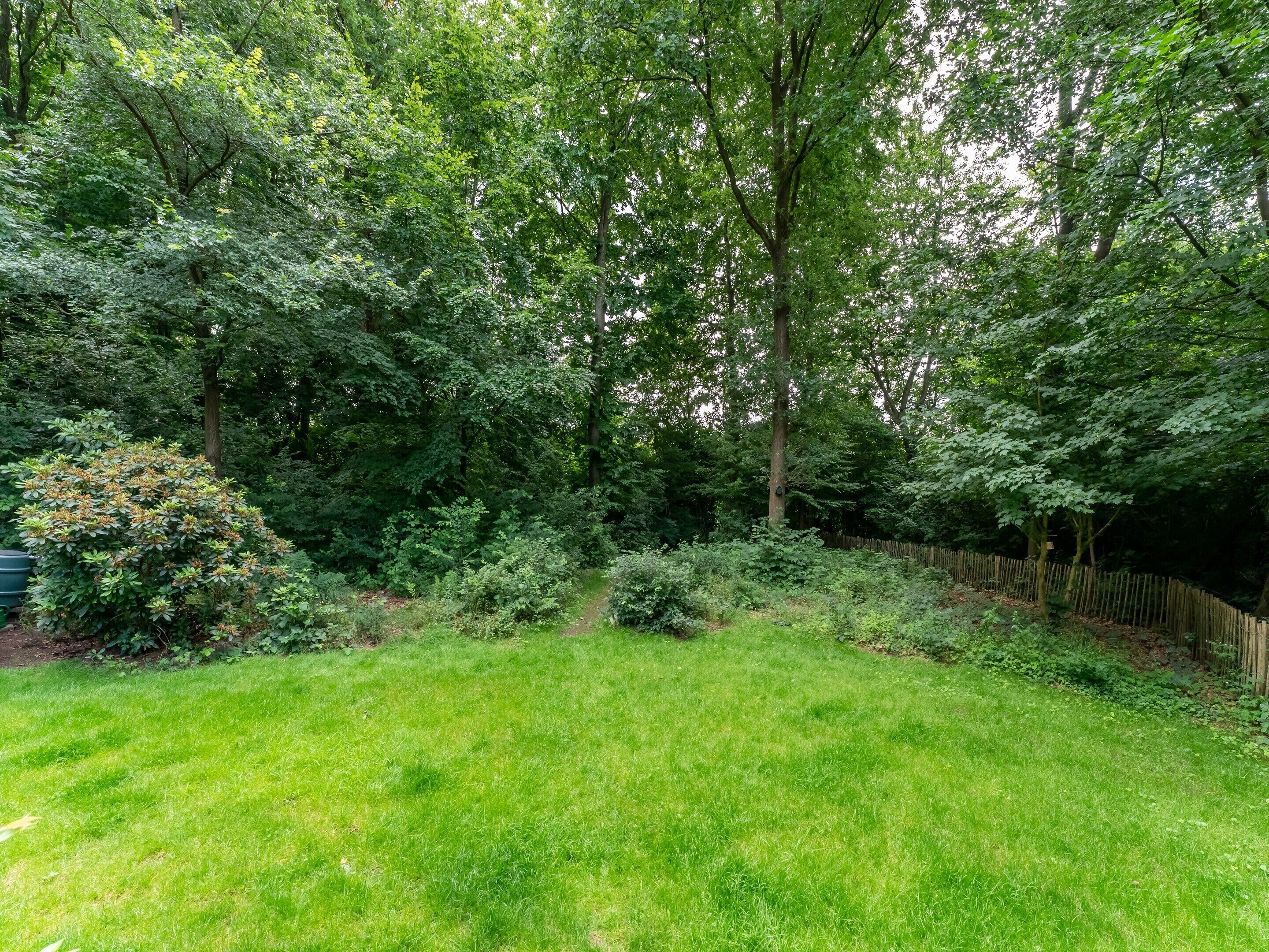 独立别墅 | 花园