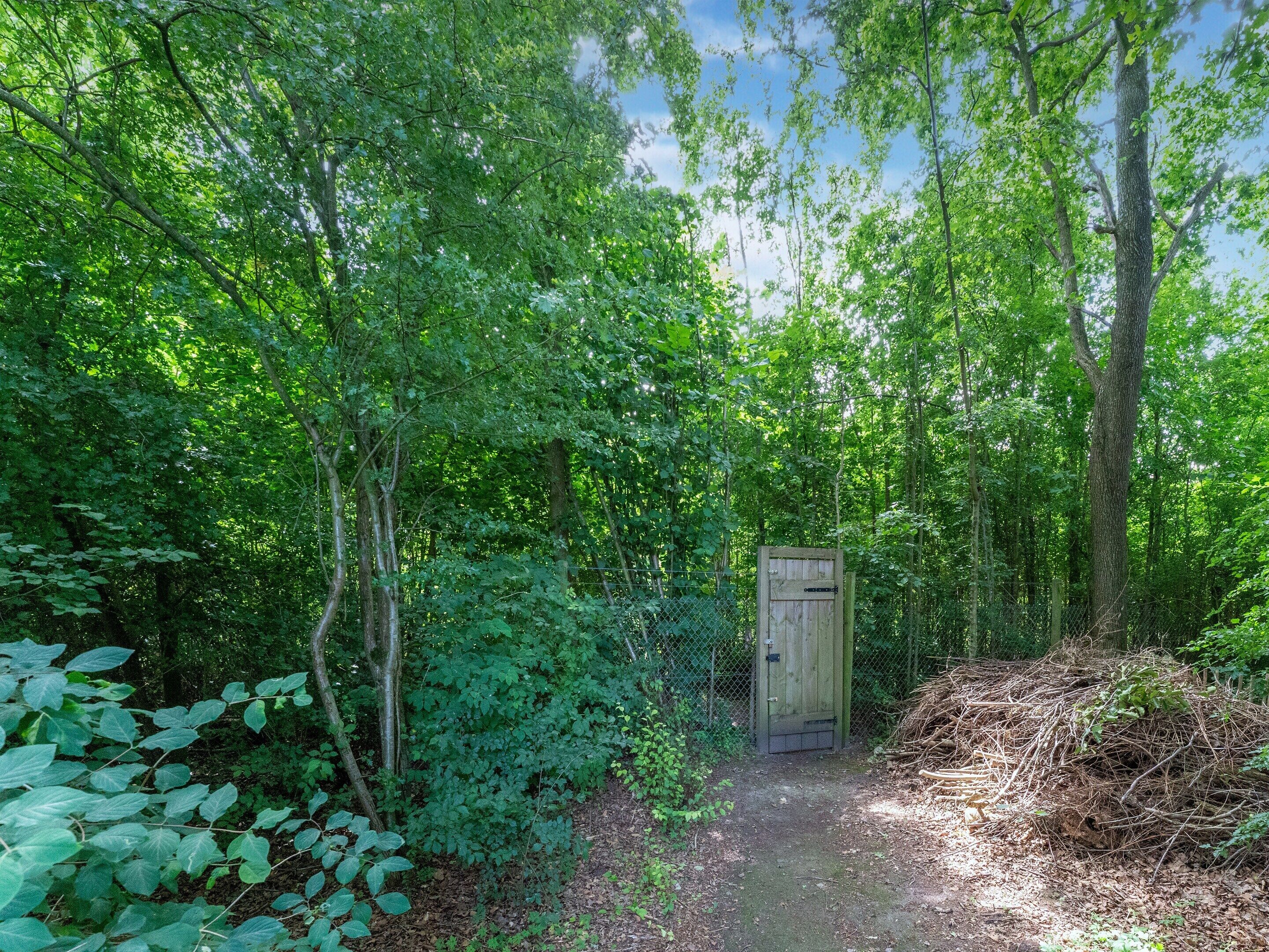 Ferienhaus | Blick von der Unterkunft