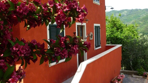 Immagine non classificata, 1 di 29, pulsante