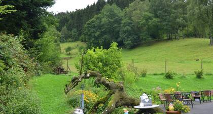 Apartment in Bruchhausen mit Terrasse