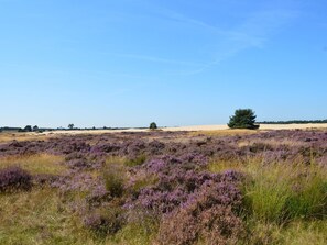Exterior - Holiday Home Voorthuizen Near De Veluwe (Voorthuizen)
