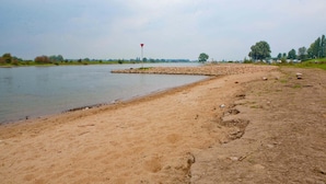 A sandy beach with a calm lake, a red flag, and distant trees. - Holiday Home in Olst-wijhe With Sauna (Olst)