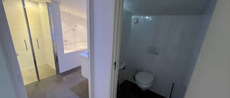 House | Bathroom | Combined shower/bathtub, hair dryer