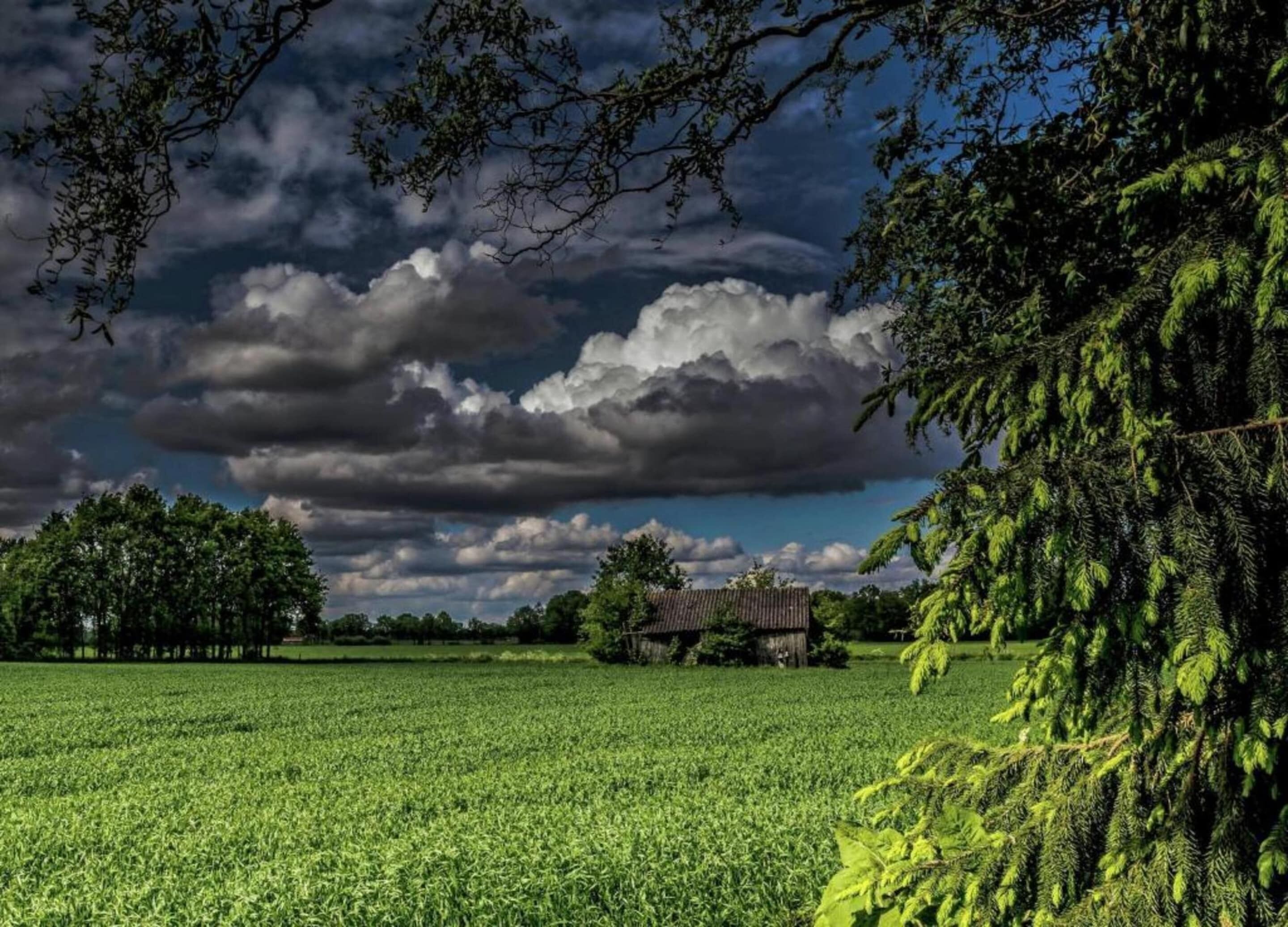 A rural landscape with a field, trees, and a small building.