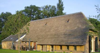 Farmhouse in Geesteren Near Forests