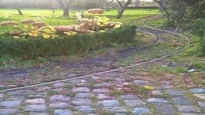 A stone pathway with a railway track curving through a park. - Farmhouse in Geesteren Near Forests (Geesteren)