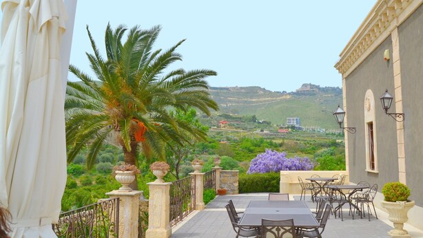 Une terrasse avec des sièges extérieurs, un palmier et une vue sur le paysage.