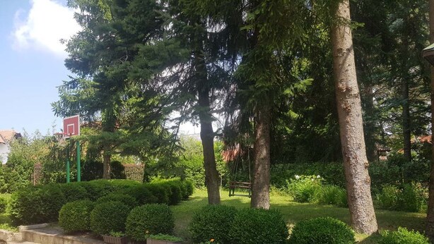 A landscaped garden with neatly trimmed bushes and trees, a paved walkway, and a basketball hoop. - Enjoy the nature on Zlatibor (Zlatibor)