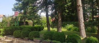 Enjoy the nature on Zlatibor