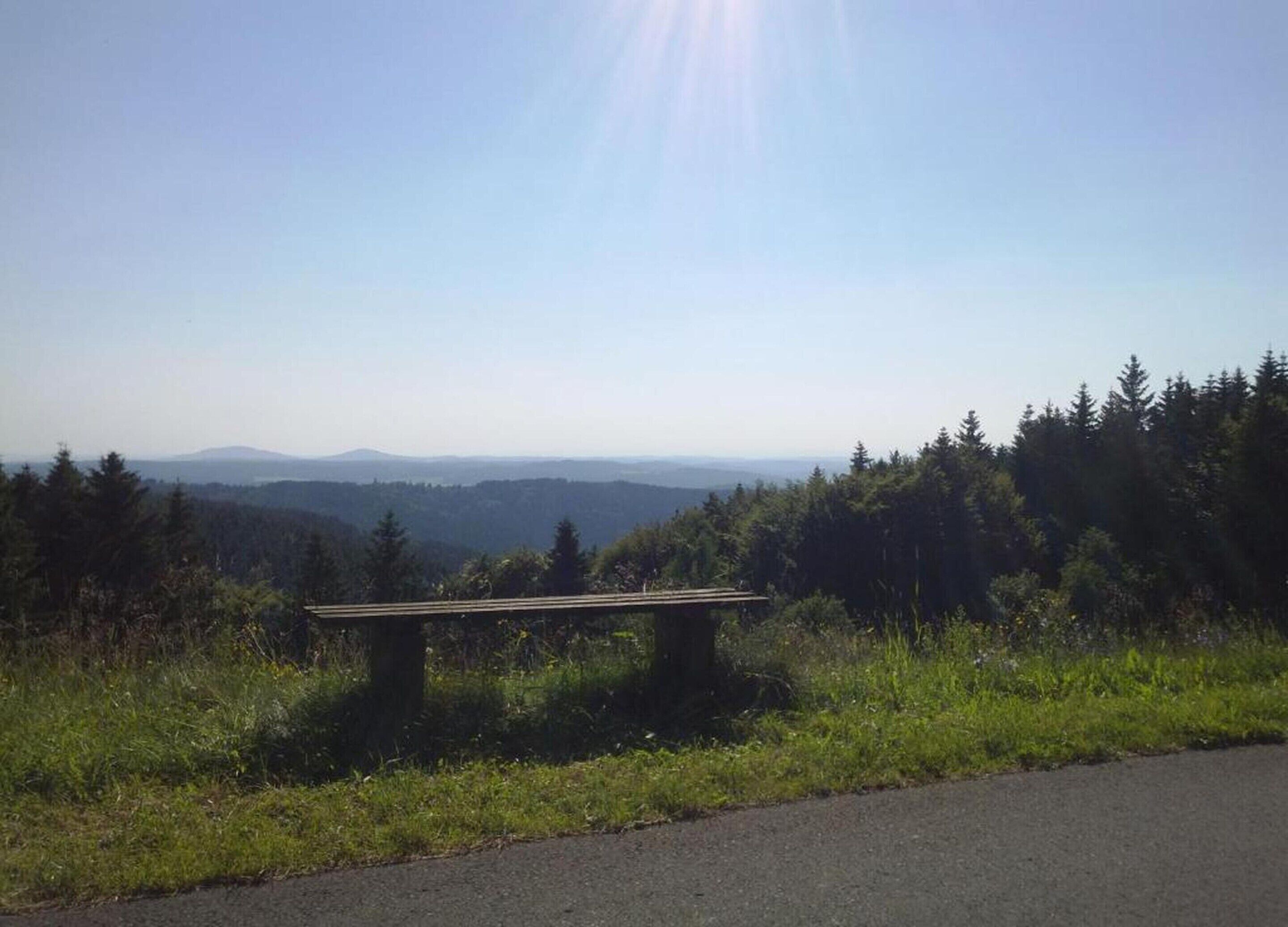 A bench overlooking a forested landscape with distant mountains.