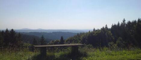 A bench overlooking a forested landscape with distant mountains.