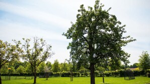 Exterior - Beautiful Holiday Home In Lage Mierde Near Forest (Lage Mierde)