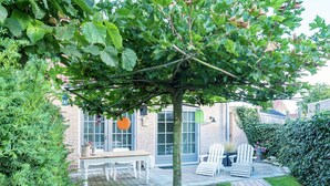 A patio area with a table and chairs, a tree, and a brick wall in the background. - Cottage in Ovezande With Terrace (Ovezande)