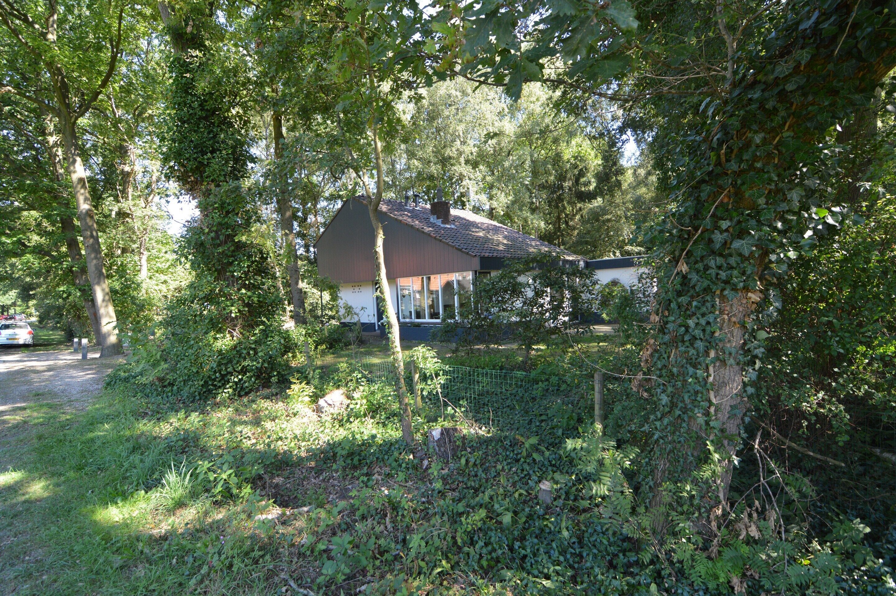 單棟房屋 | 花園