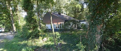 單棟房屋 | 花園