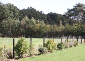 House | View from property