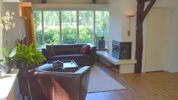 Ein Wohnzimmer mit einer Couch, einem Couchtisch, einem Kamin und großen Fenstern.