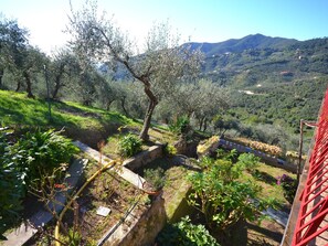 Garden - Escape Near Cinque Terre (Moneglia)