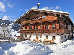 Exterior - Cozy Apartment in Tirol Tyrol With Mountain Views (Kirchberg in Tirol)
