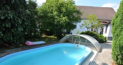 Beautiful Apartment With Pool in a Fenced Garden Near Marienbad/mariánské Lázne