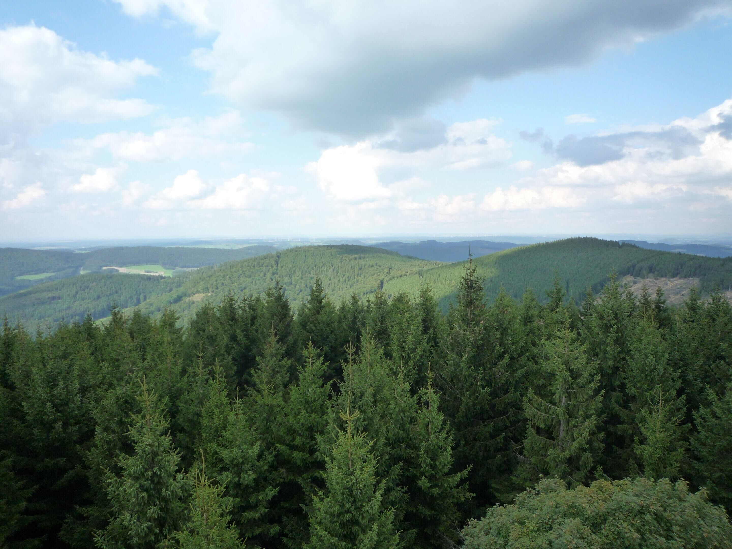 A forested mountain landscape with dense coniferous trees and rolling hills.