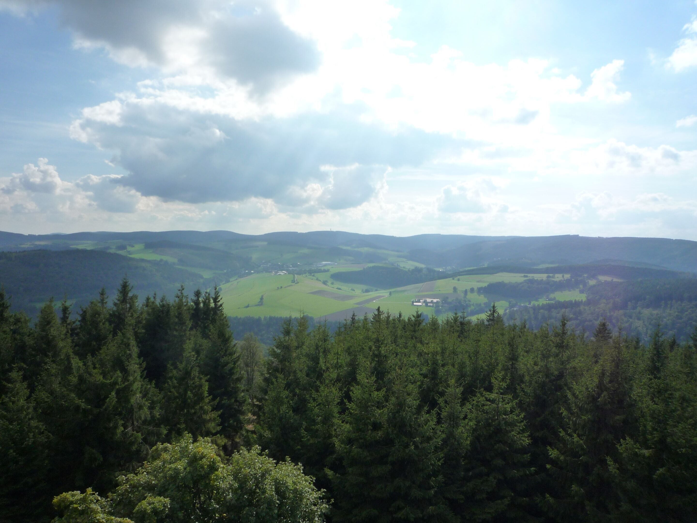 A mountainous landscape with dense forests in the foreground and rolling hills in the background.