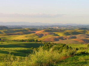 House | View from property