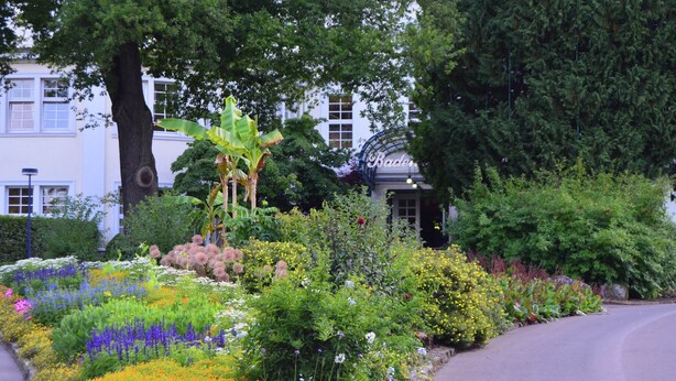 A garden with various plants and flowers, a large tree, and a building with a sign that reads "Bade". - Wohnung mit Eigener Terrasse in Huddingen (Bad Wildungen)