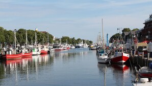 Een haven met meerdere boten afgemeerd langs de waterkant.