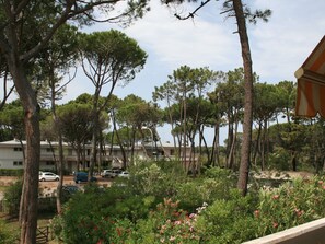 View from property - Holiday Home Grosseto Near Uccellina Beaches (Grosseto)