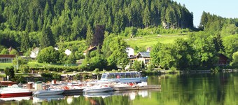 Holiday Home in Vosges With Garden and BBQ