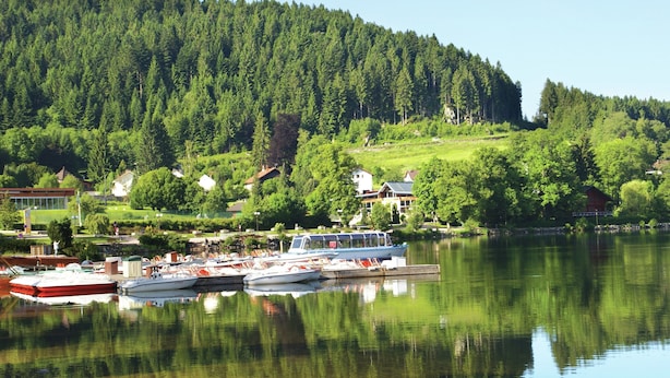 A lake with boats docked, surrounded by houses and dense forest. - Holiday Home in Vosges With Garden and BBQ (Haut-du-Them-Château-Lambert)