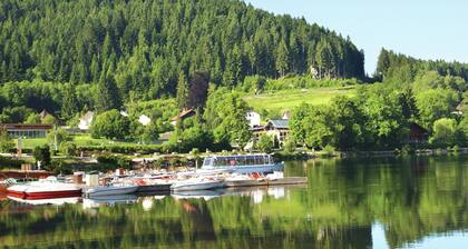 Holiday Home in Vosges With Garden and BBQ