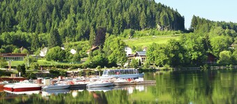 Holiday Home in Vosges With Garden and BBQ