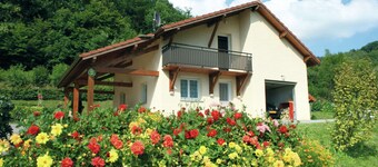 Holiday Home in Vosges With Garden and BBQ