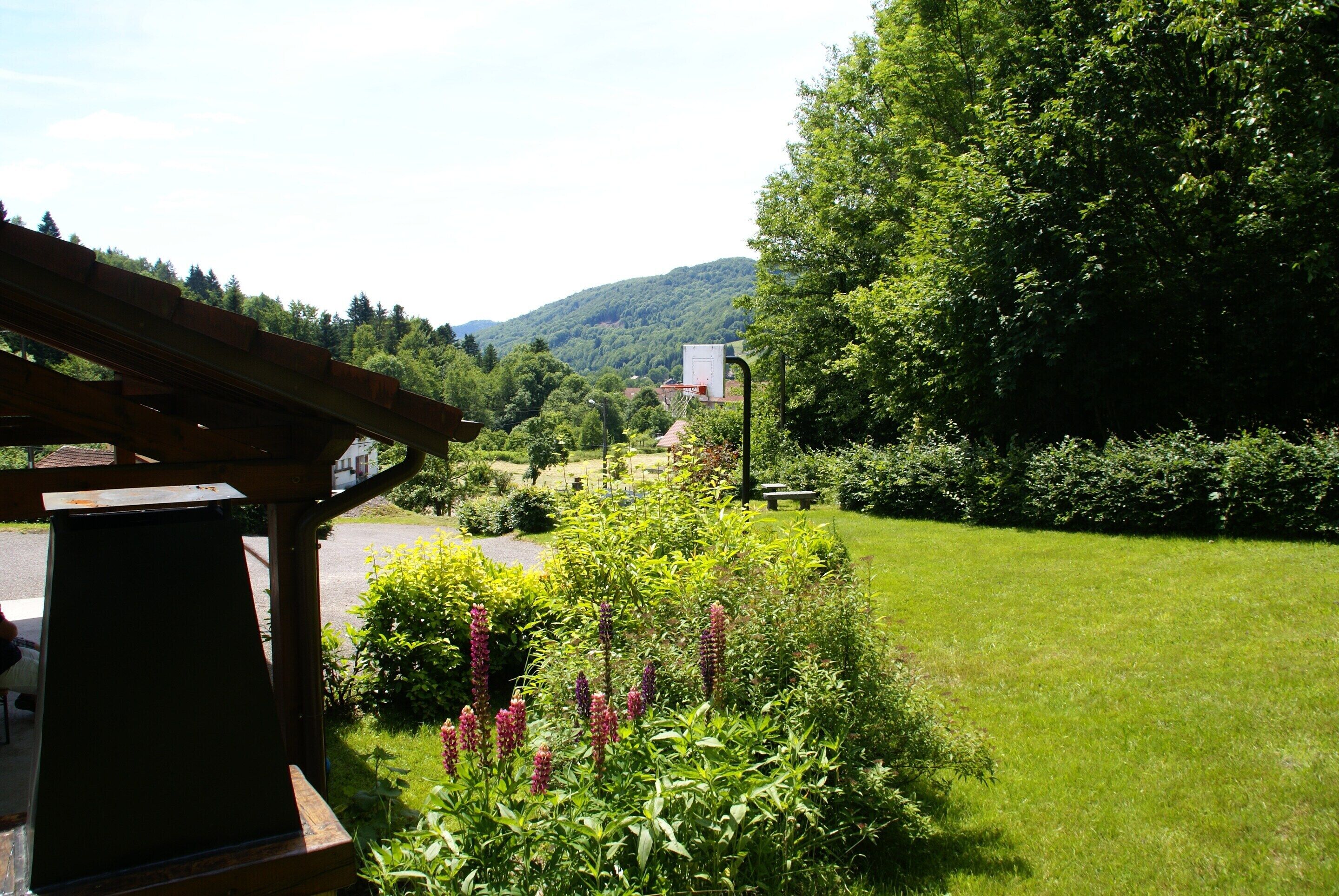 House | Garden
