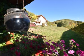 House | Interior detail - Holiday Home in Vosges With Garden and BBQ (Haut-du-Them-Château-Lambert)
