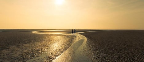 Maison | Vue depuis lâhĂ©bergement