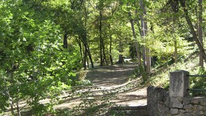 A stone staircase leading up a forested path. - Apartment in Rhone Alpes Near Ski Slopes (Montbrun-les-Bains)