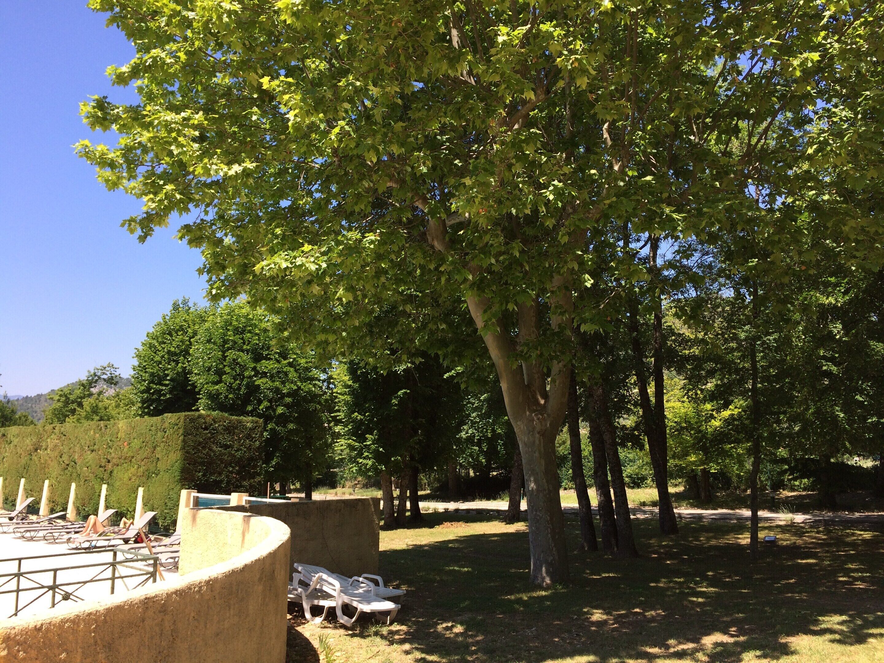 Apartment | Garden