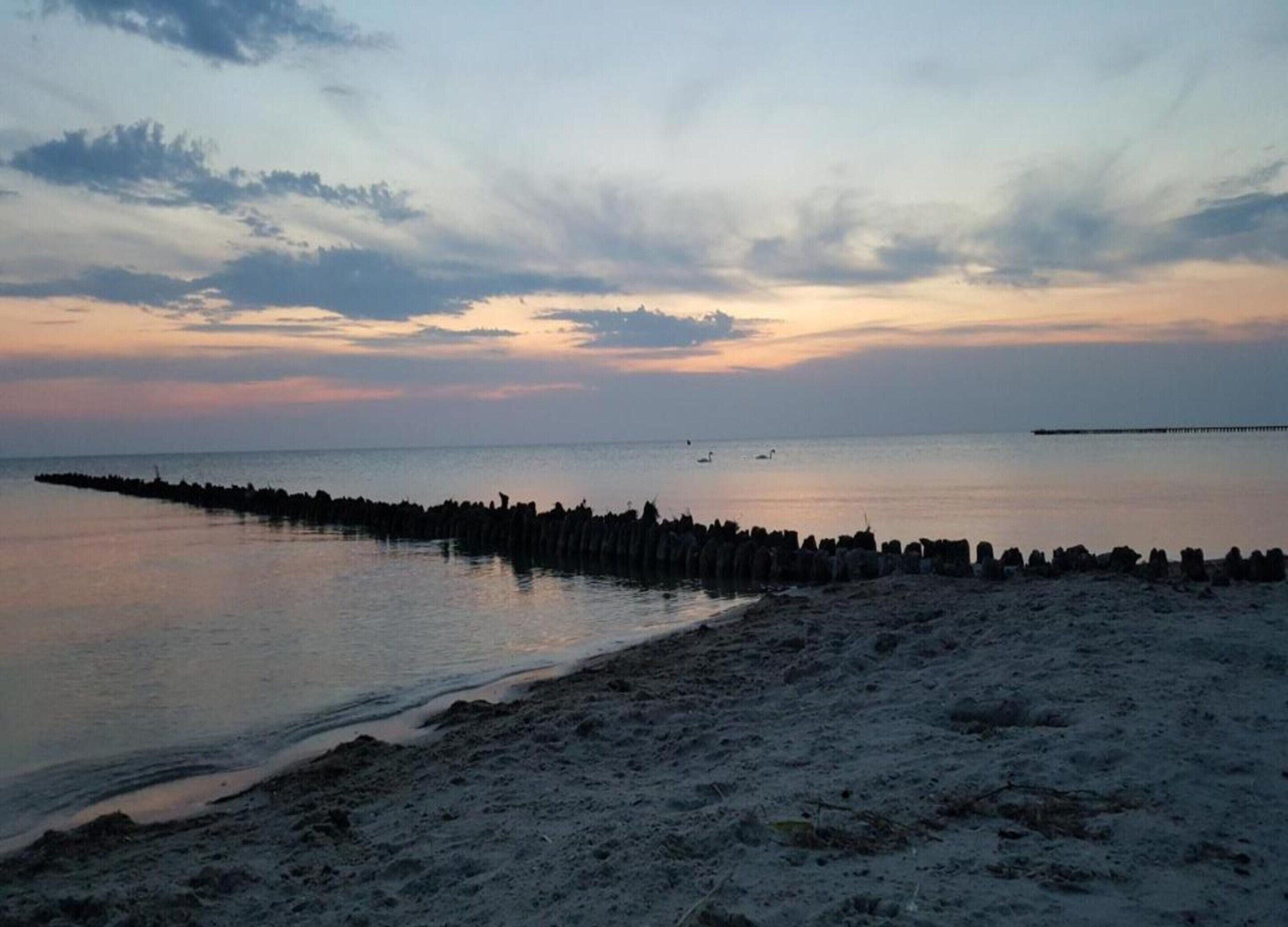 House | Pemandangan dari hartanah