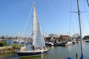 Casa | Vista des de l'allotjament