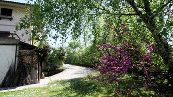 Nhà | Ngoại thất