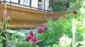 Apartment | Balcony - Beautiful Apartment in the Black Forest With South-facing Balcony and Private Entrance (Bad Rippoldsau-Schapbach)