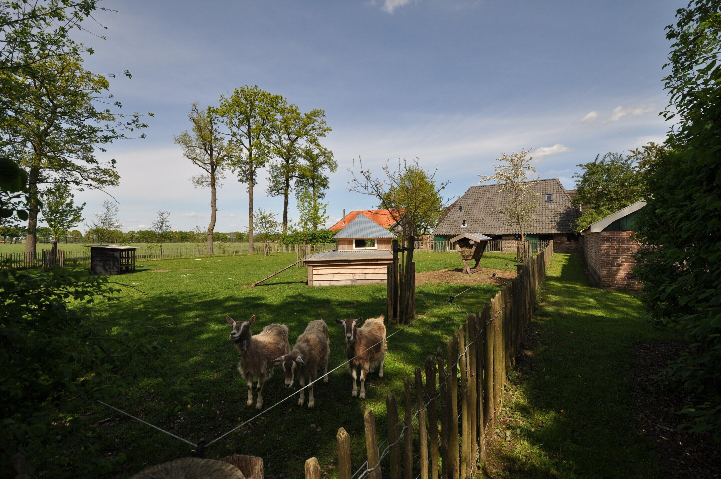 獨棟房屋 | 花園