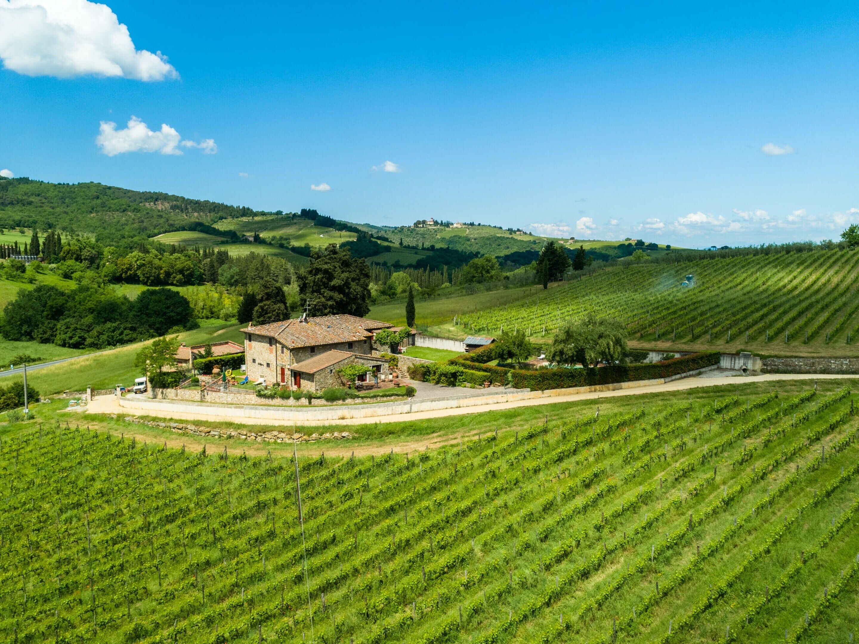 A rural property with a stone house surrounded by vineyards, a small pond, and rolling hills in the background.