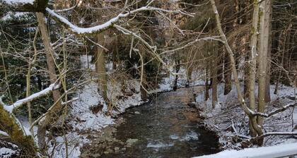 Alpine Stay in Wildemann