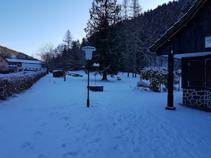 Apartment | View from property - Alpine Escape in Wildemann (Clausthal-Zellerfeld)