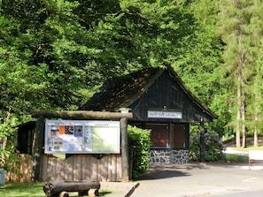 Une cabane en bois rustique, posée sur des fondations en pierre, et entourée d’une végétation luxuriante.